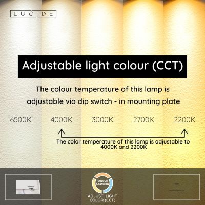 Lucide FELSTED - Pendant light - LED Dim. - CCT - 1x28W 2200K/4000K - Black - Vibes